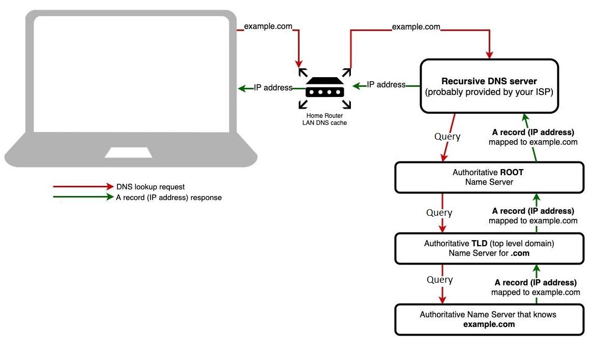 DNS Lookup DNS Lookup